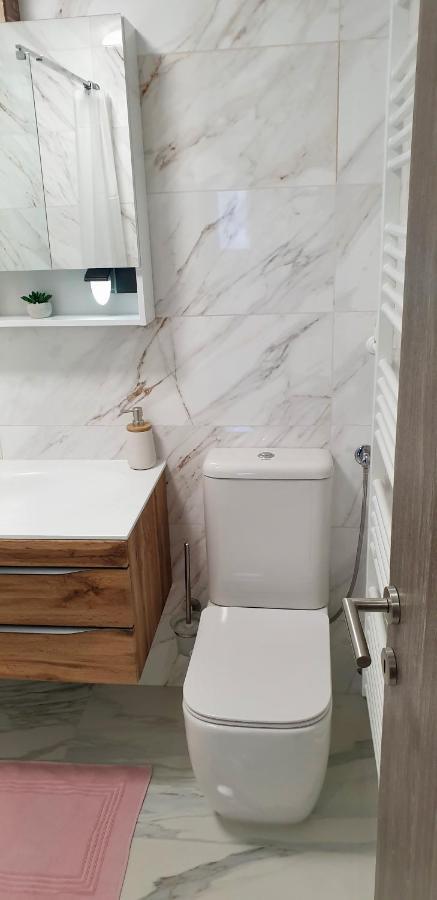 Apartma Sivi Zako Apartment